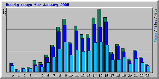 Hourly usage for January 2005